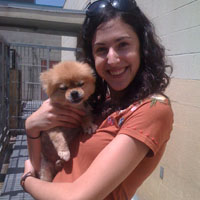 Mochi, a Pomeranian