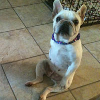 Violet's happy tail