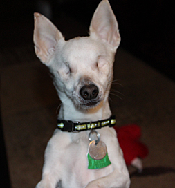 Molly doesn't let her blindness stand in her way.
