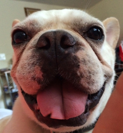 Scooter gives a big smile for the camera.