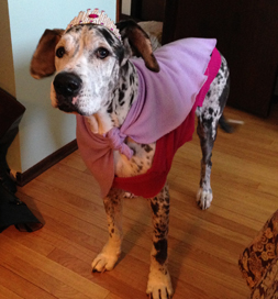 The princess makes her royal entrance.