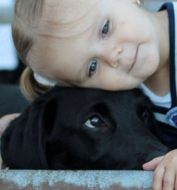 Sue's granddaughter loves Beau.