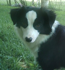 Ellie is wary of the camera.