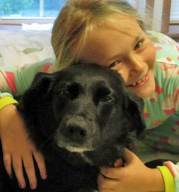 dog-adoption-maddie-rose-