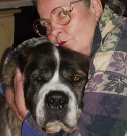 Abby is a gentle giant.