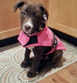 River is ready to go on an outing.