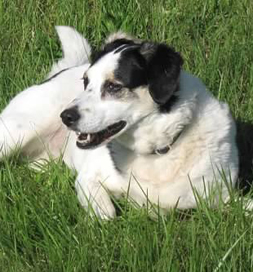 Lolita was the oddball of the litter.