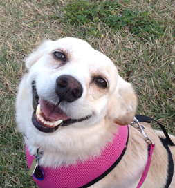 Marlee is all smiles.
