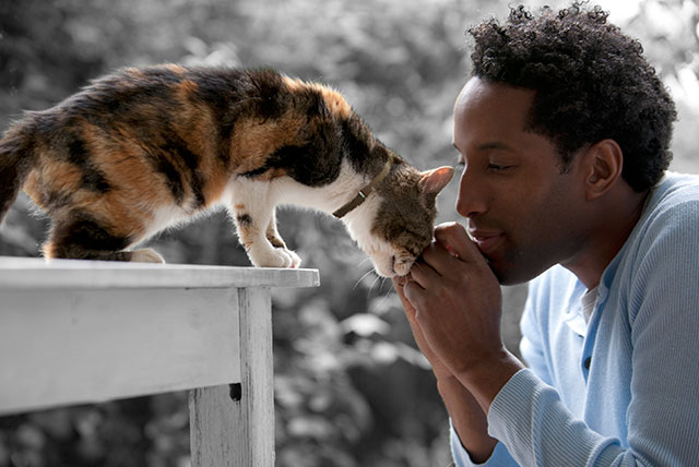 Man kissing cat.